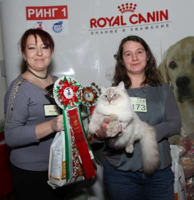 173_best1_opp_sex_slh_IMG_3416 copy.jpg